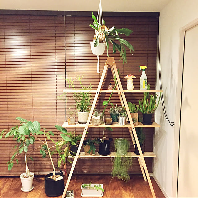 tumutacさんの実例写真