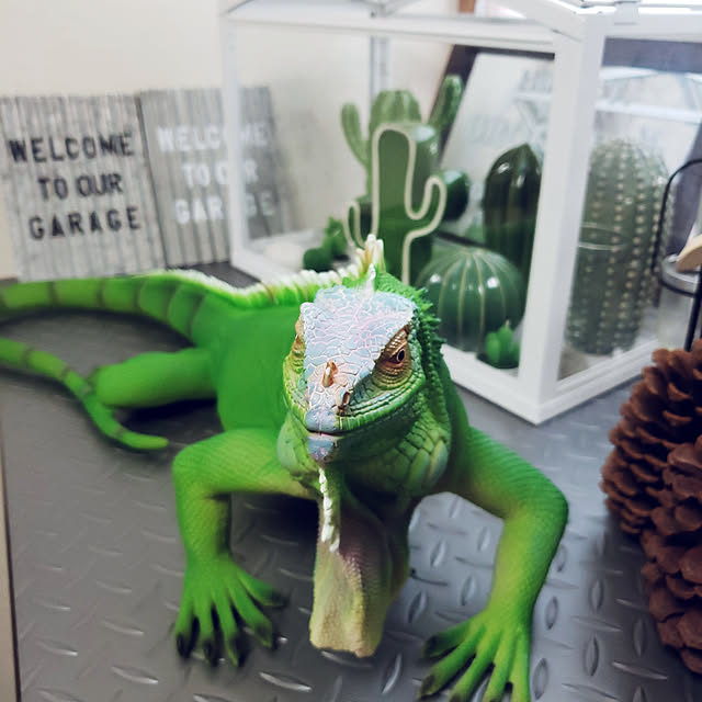 mikamikaさんの実例写真