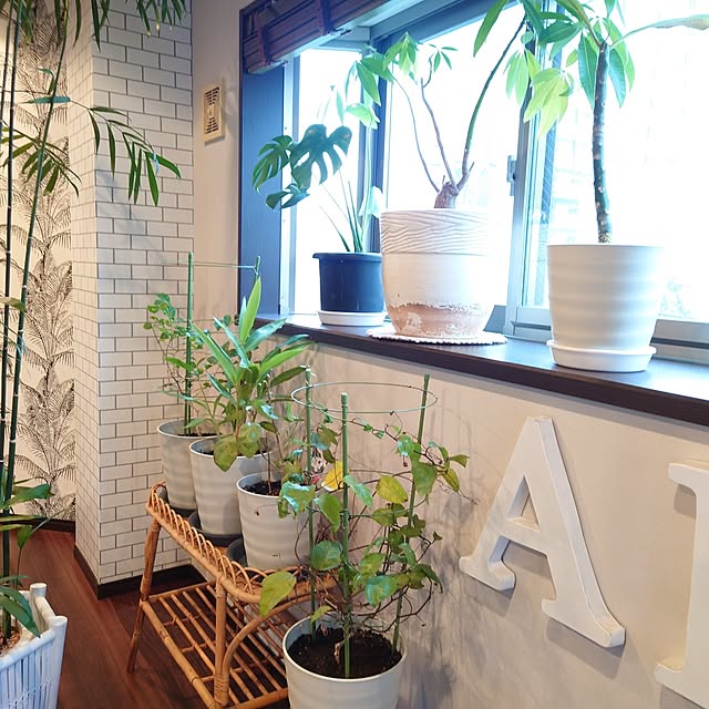 cocosorasakuさんの部屋
