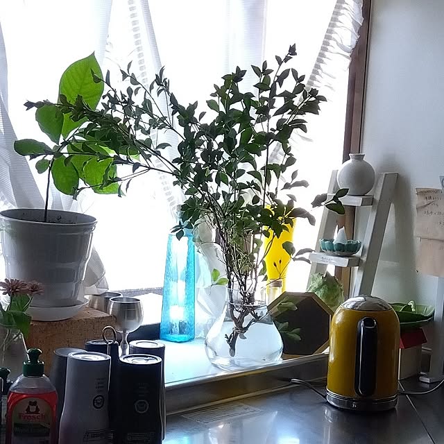 coco1204さんの部屋