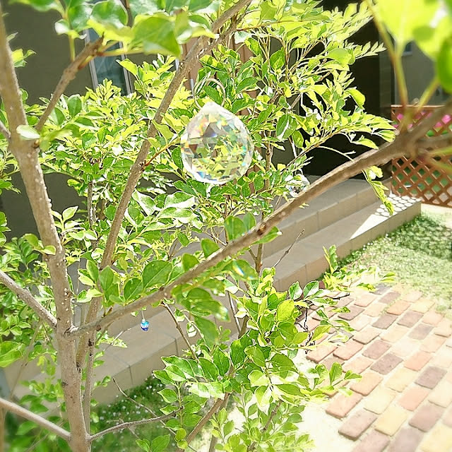 martsさんの実例写真