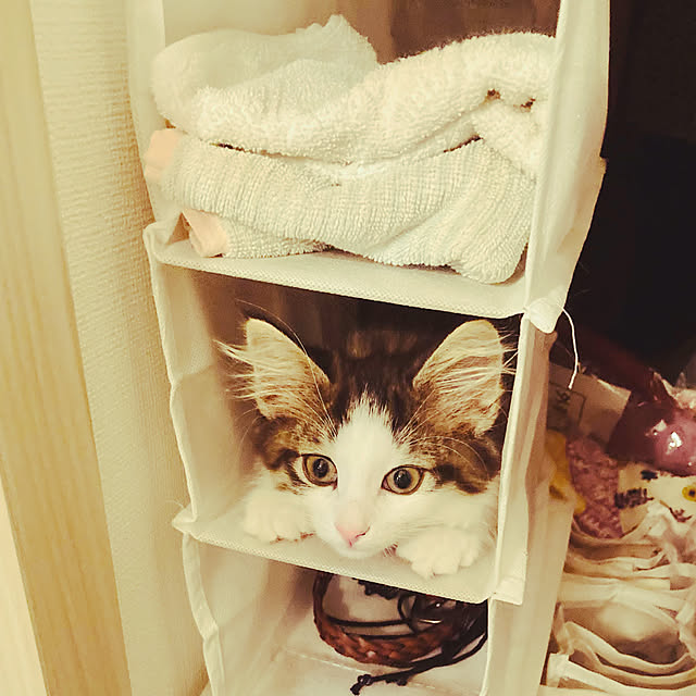 sakura_171220さんの実例写真