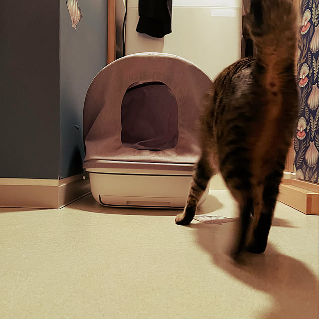 Mさんの実例写真