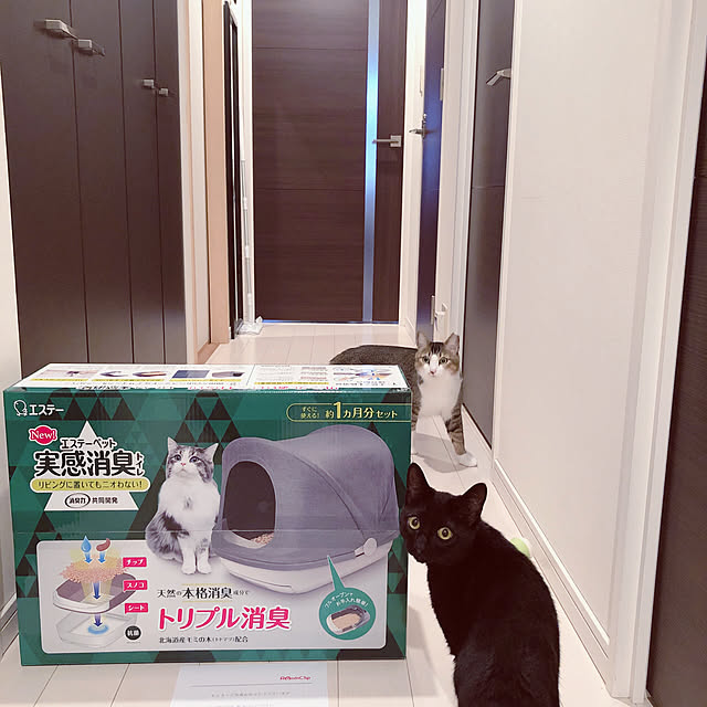 nekomiさんの実例写真