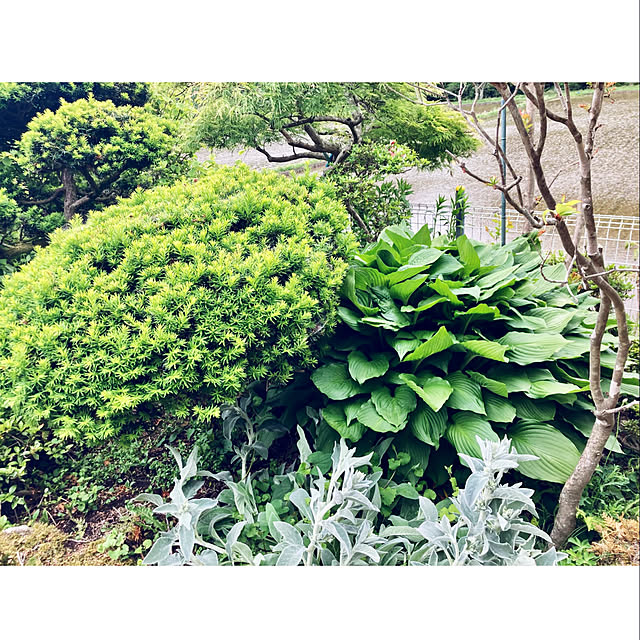 CoCo0617さんの部屋