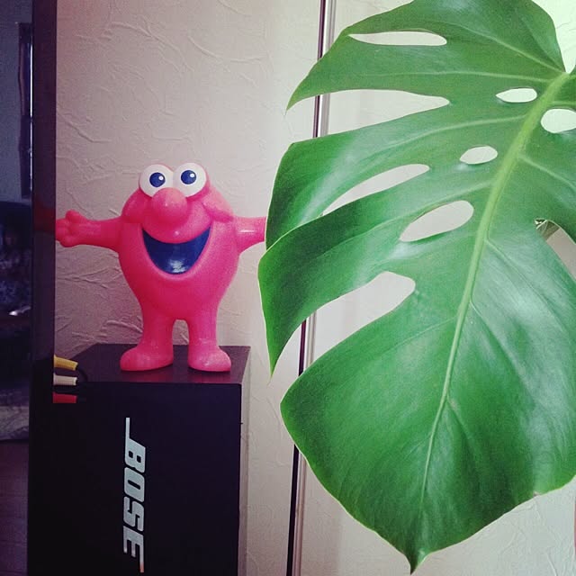 irielifeさんの実例写真