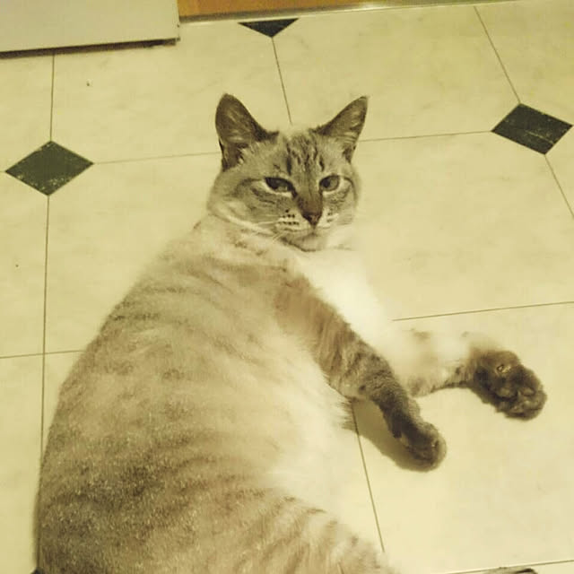 bonobono54さんの実例写真
