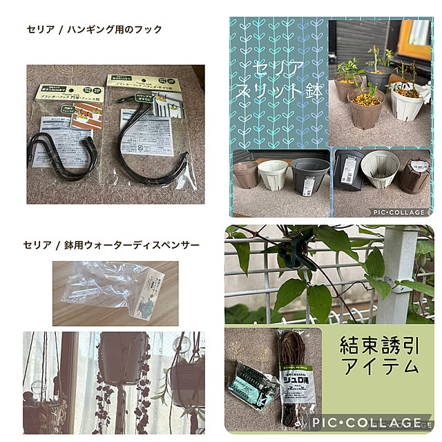 CoCo0617さんの部屋