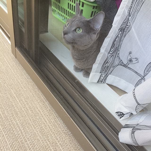 Midoriさんの実例写真