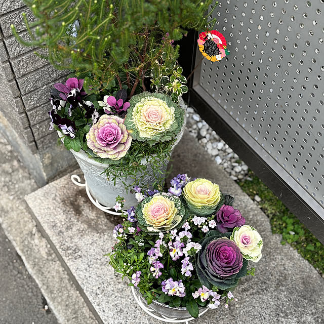 maayaさんの部屋