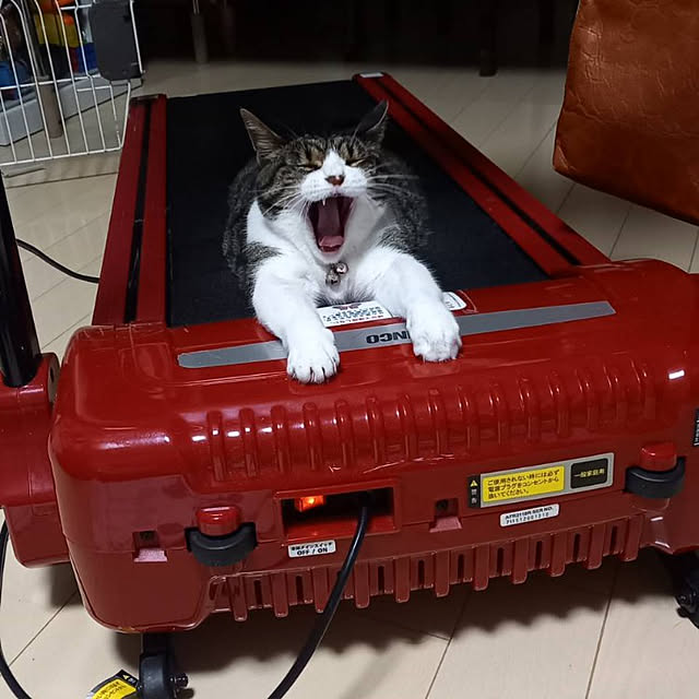 civicglさんの実例写真
