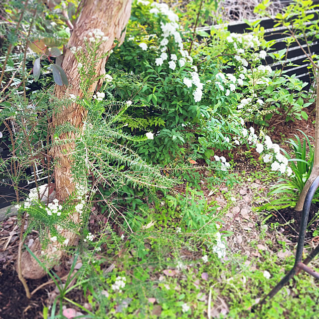 oa.mさんの実例写真