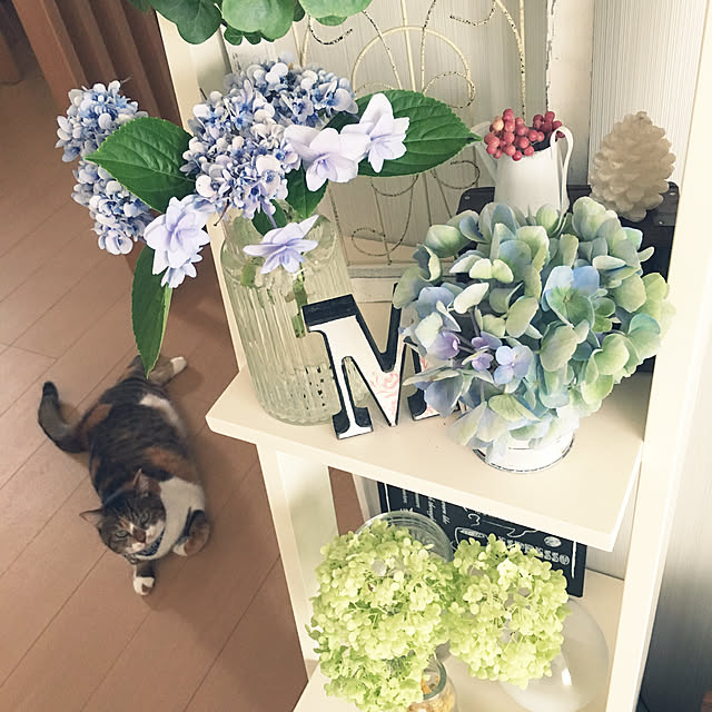 miyo419さんの実例写真
