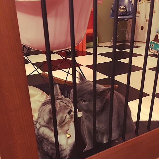Shojiさんの実例写真