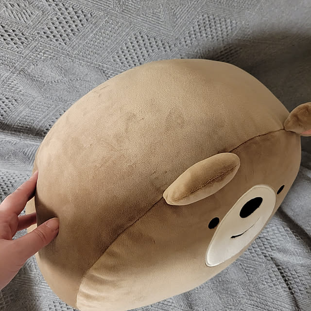 akimameさんの実例写真