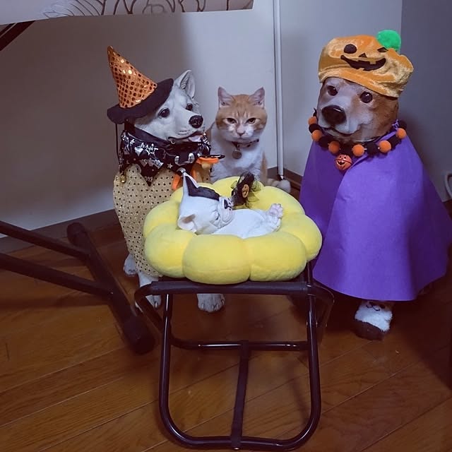 NOAHさんの部屋