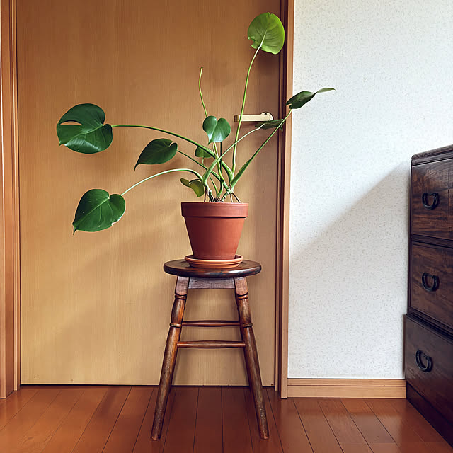 mikan161さんの実例写真