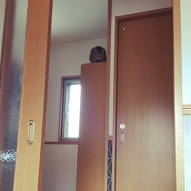 Mさんの実例写真