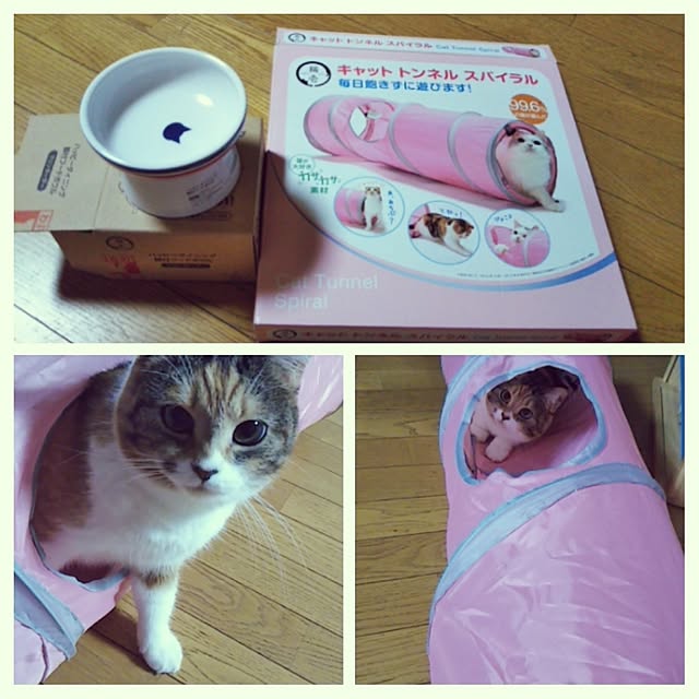 yukieさんの実例写真