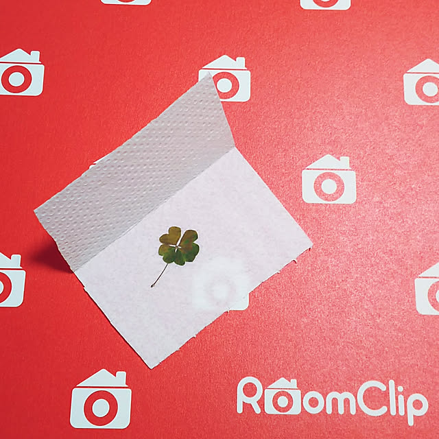 Yoshi55goさんの実例写真
