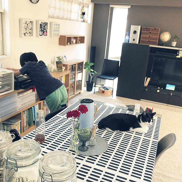 ROMIMIさんの実例写真