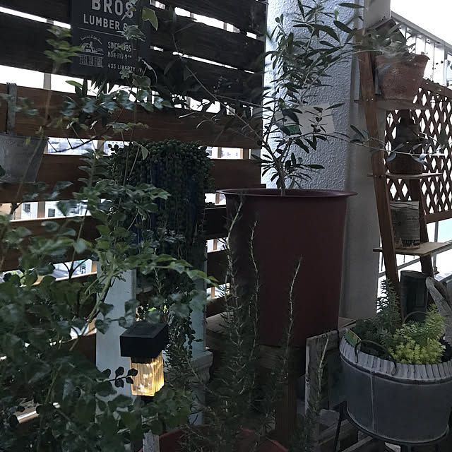 islay0719さんの実例写真