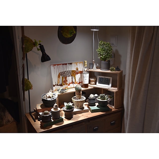 WOODPROさんの部屋
