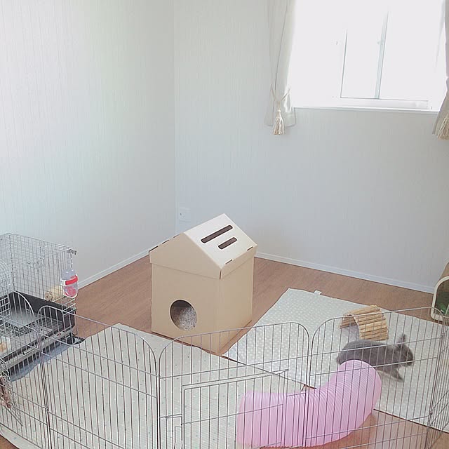 sippoさんの実例写真