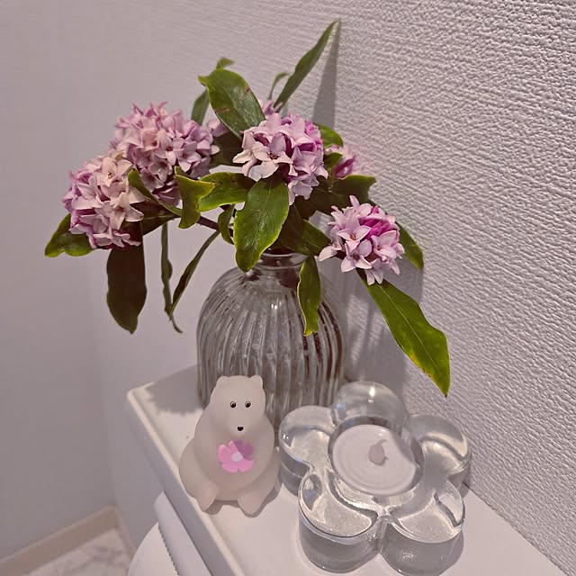 mutyukingさんの実例写真