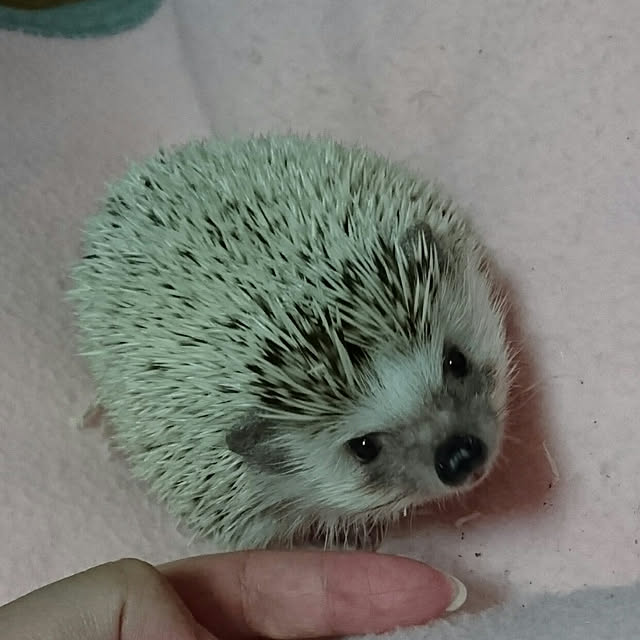 Reikomさんの実例写真