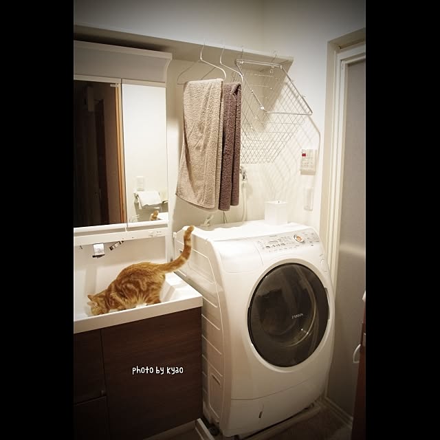 kyaoさんの実例写真