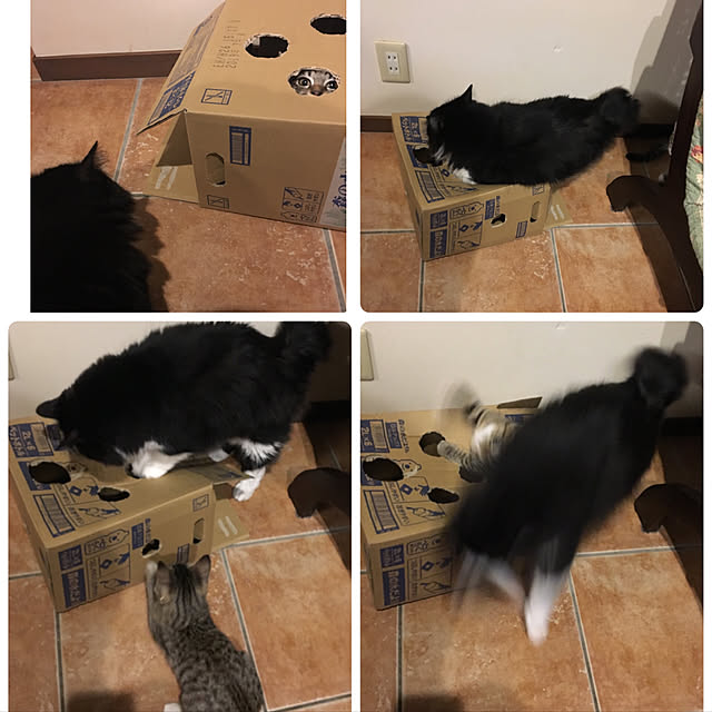 shigimiさんの実例写真
