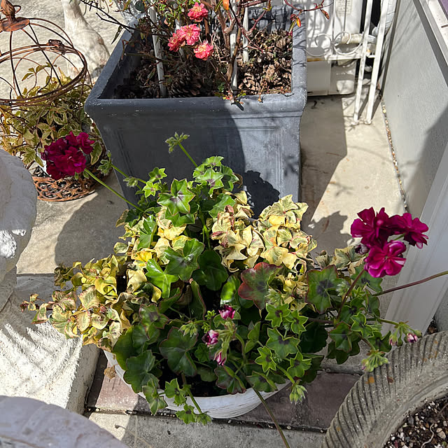 AYUKOさんの部屋