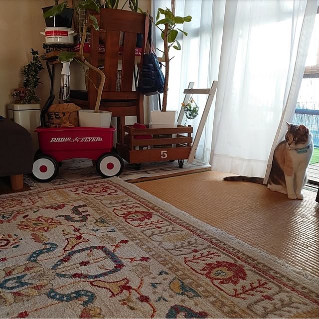 fukuさんの部屋