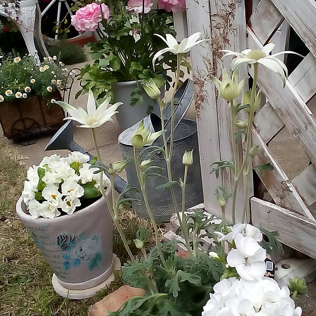 mariagardenさんの実例写真
