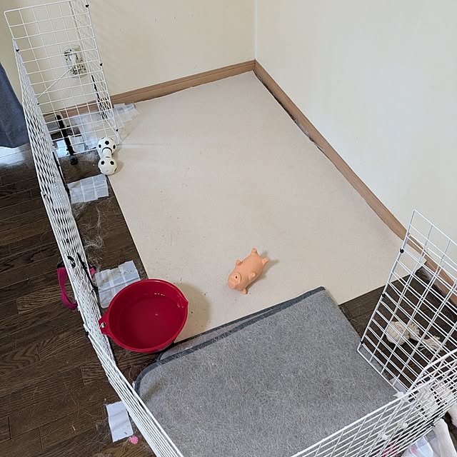 asaさんの実例写真