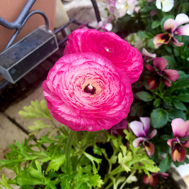 tomoさんの実例写真