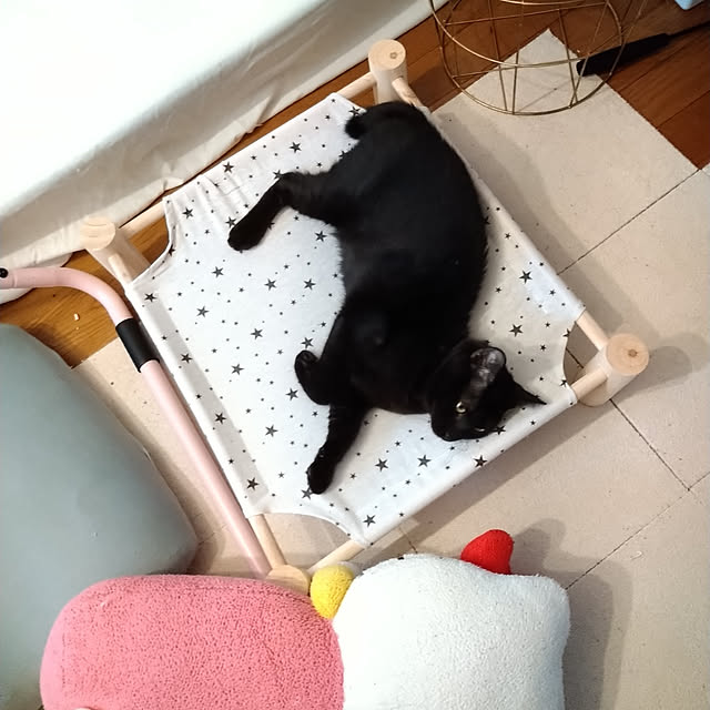 Tさんの実例写真