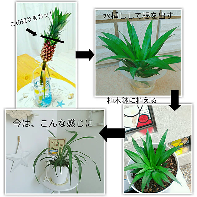 maiyukapiさんの実例写真