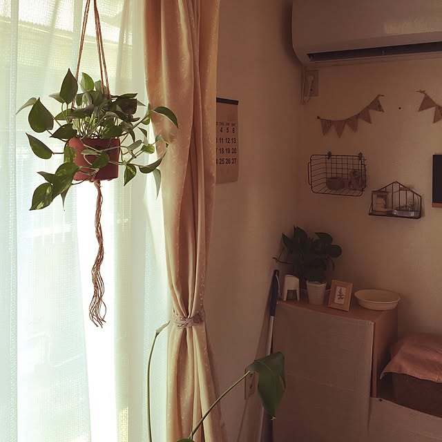 Sao0311さんの実例写真