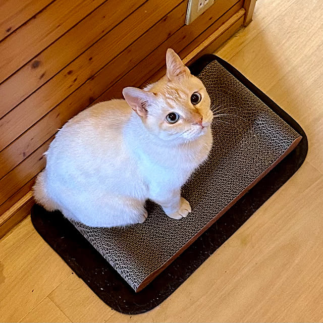 milkさんの実例写真