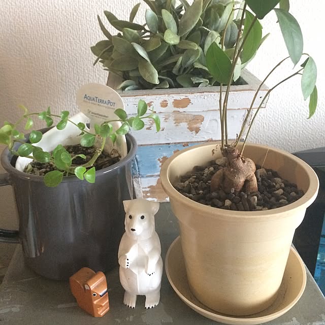 wasa006さんの実例写真