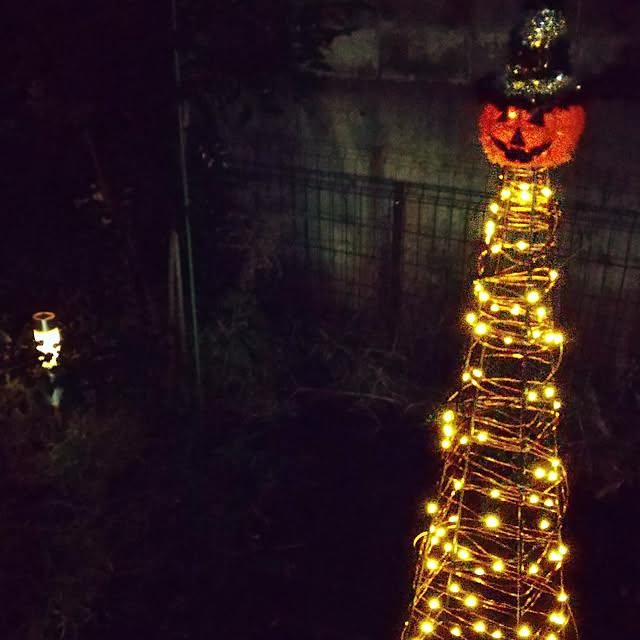 部屋全体/ハロウィン/100均/ダイソー/IKEA...などのインテリア実例 - 2020-10-18 21:11:15