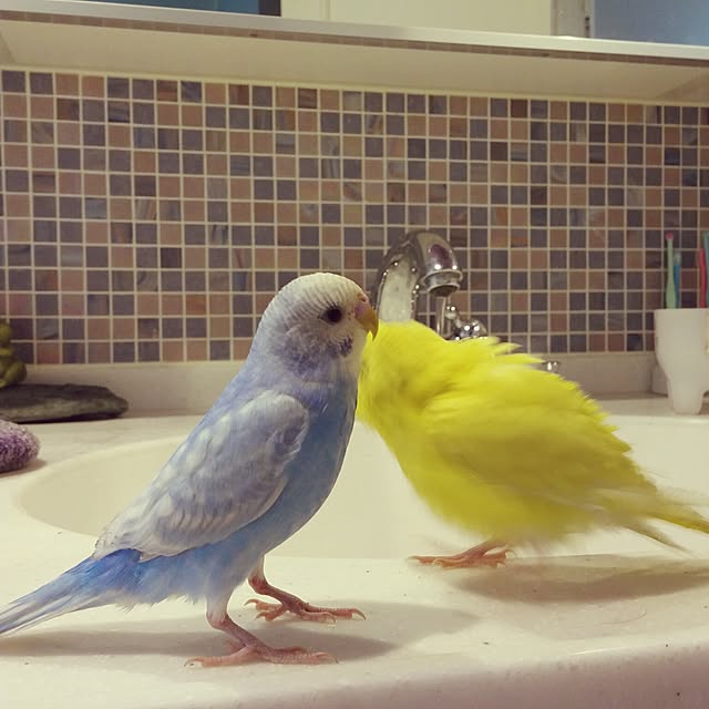 Minakoさんの実例写真