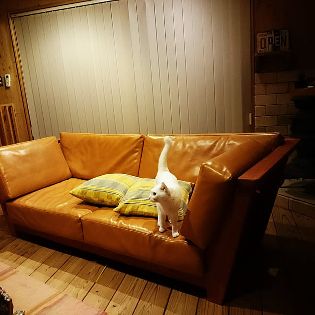 nontanさんの実例写真