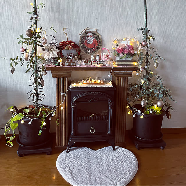 kyoryu2kidsさんの実例写真