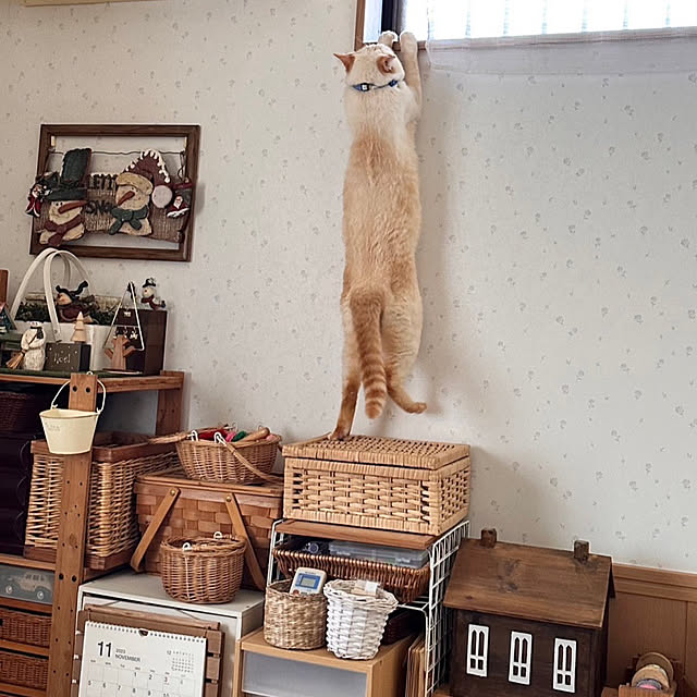 mohhaさんの部屋