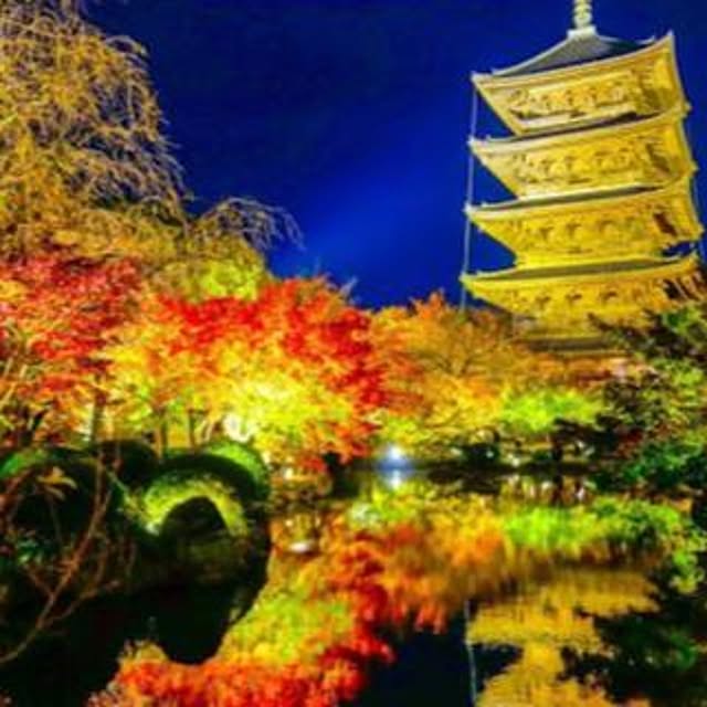 実例写真
