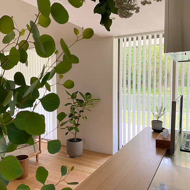 壁/天井/無垢床オーク/無垢床/雑貨屋風/ユーカリポポラス...などのインテリア実例 - 2022-05-12 22:51:32