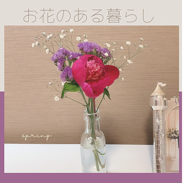 セリア/100均/雑貨/ナチュラル/ニトリ...などのインテリア実例 - 2021-04-27 18:16:07